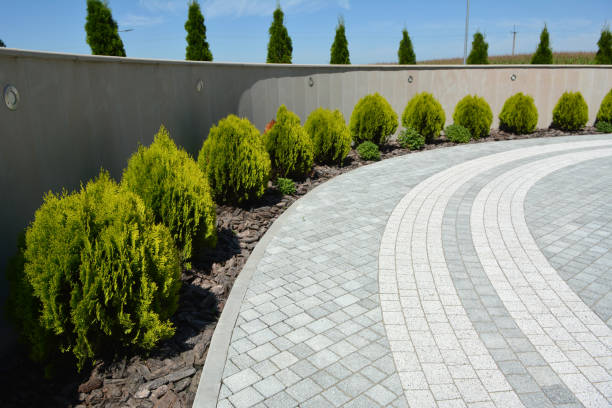 Reasons to Select Us for Your Driveway Paving Requirements in Smackover, AR