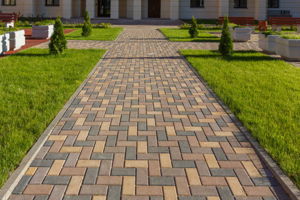 Best Driveway Paving Contractor  in Smackover, AR
